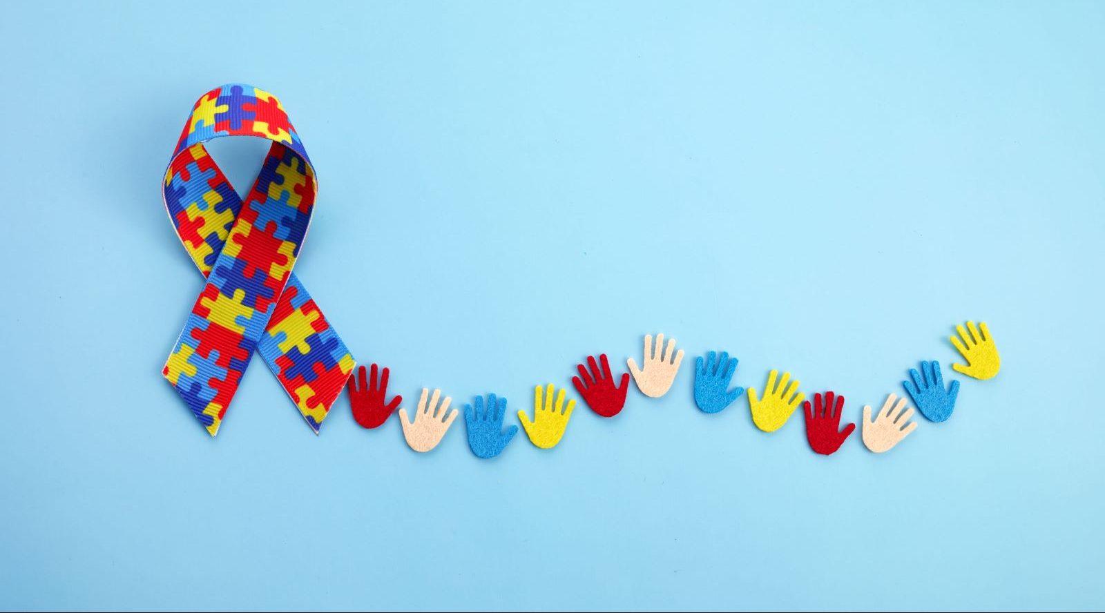 NASAN President Urges Action on Autism Misconceptions