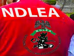 NDLEA Expands Forensic Capabilities, Opens New Labs with US-UN Backing