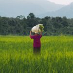 100 Women Farmers Trained in Climate-Smart Agriculture in Abuja