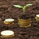 Microfinance in Motion: Navigating the Digital Shift in Nigeria’s Cashless Economy