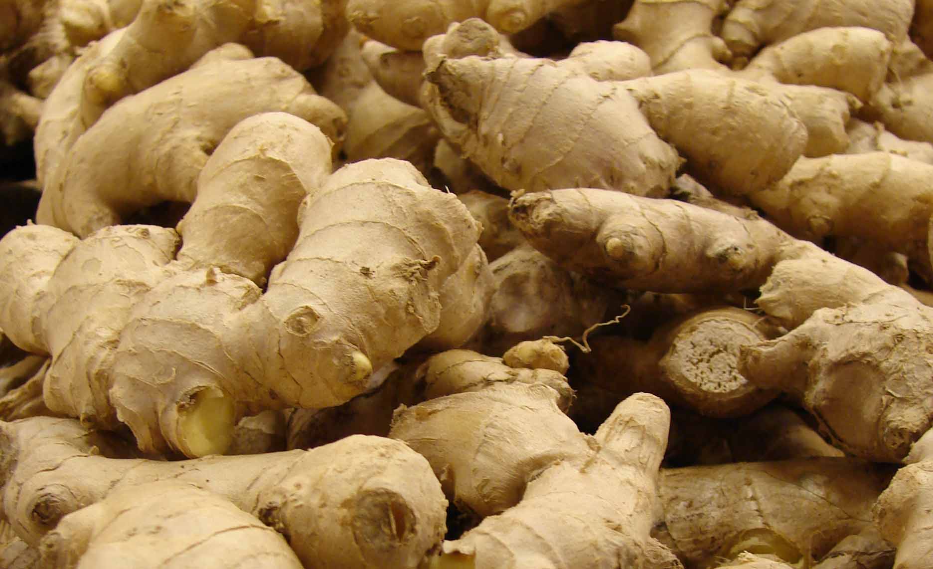 Ginger Farmers in FCT Struggle to Recover from N12 Billion Losses, Fear 2025 Setback