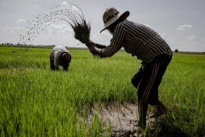 SWOFON Presses for Agricultural Focus in Kogi