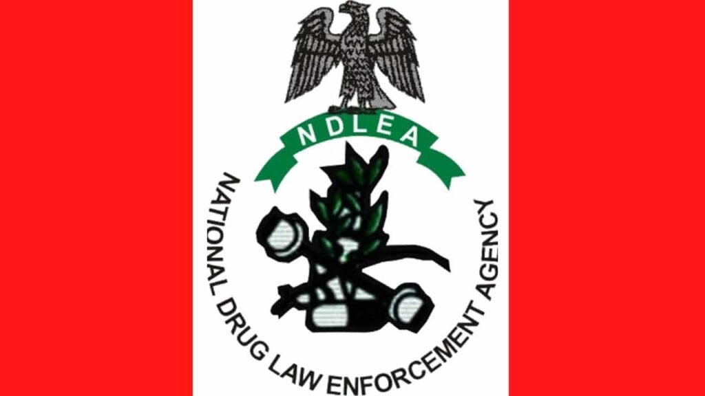 NDLEA Inaugurates Rehab Centre and Housing in Kano