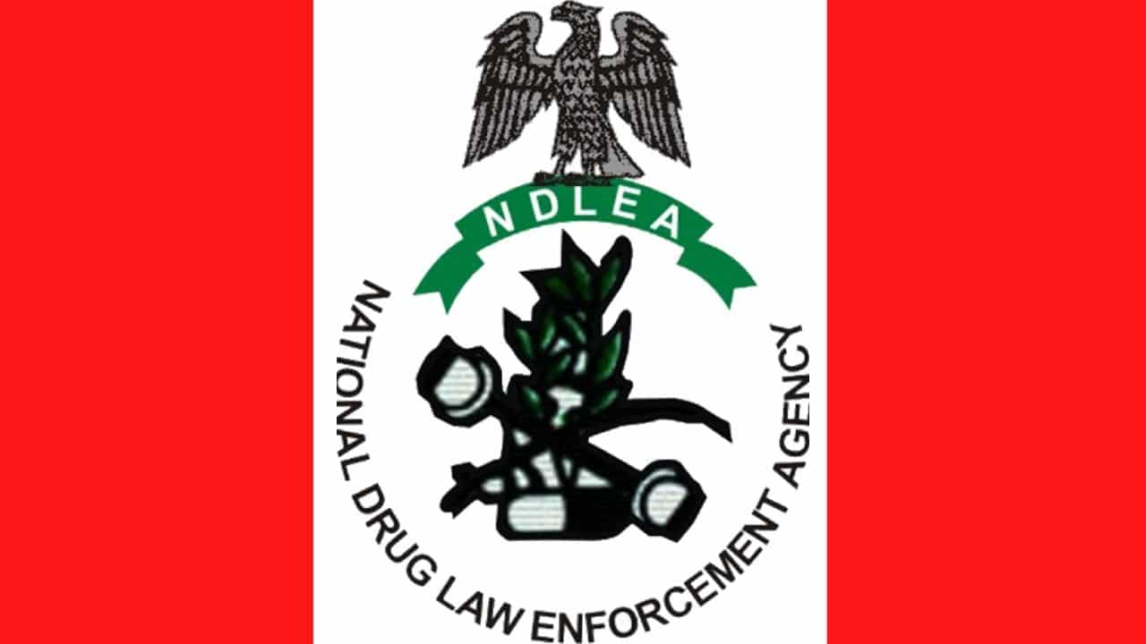 NDLEA Inaugurates Rehab Centre and Housing in Kano