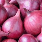 Nigeria Eyes Onion Processing Breakthrough with BoI-RMRDC Partnership