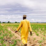 Nigeria and SSSN Unite to Improve Soil