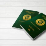 Nigeria to Roll Out E-Visa System from May 2025