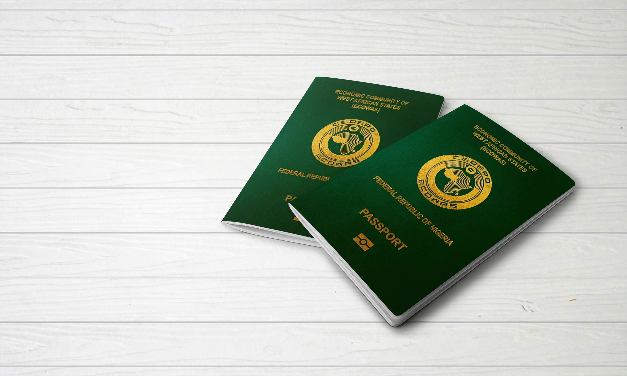 Nigeria to Roll Out E-Visa System from May 2025