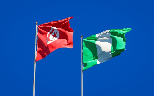 Creative Diplomacy Takes Centre Stage in Nigeria-Tunisia Talks