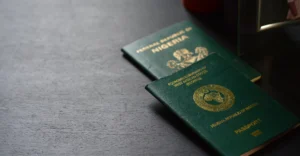 NIS Rolls Out Digital Passport Service for Nigerians Abroad

