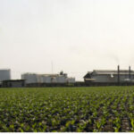 Presco Plc Profit Up 128.7%, Declares N42 Dividend for 2024