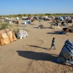 G7 Demands End to Sudan War