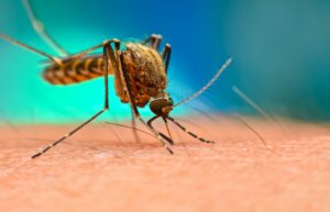 Young People Key to Ending Malaria, Says Initiative Head