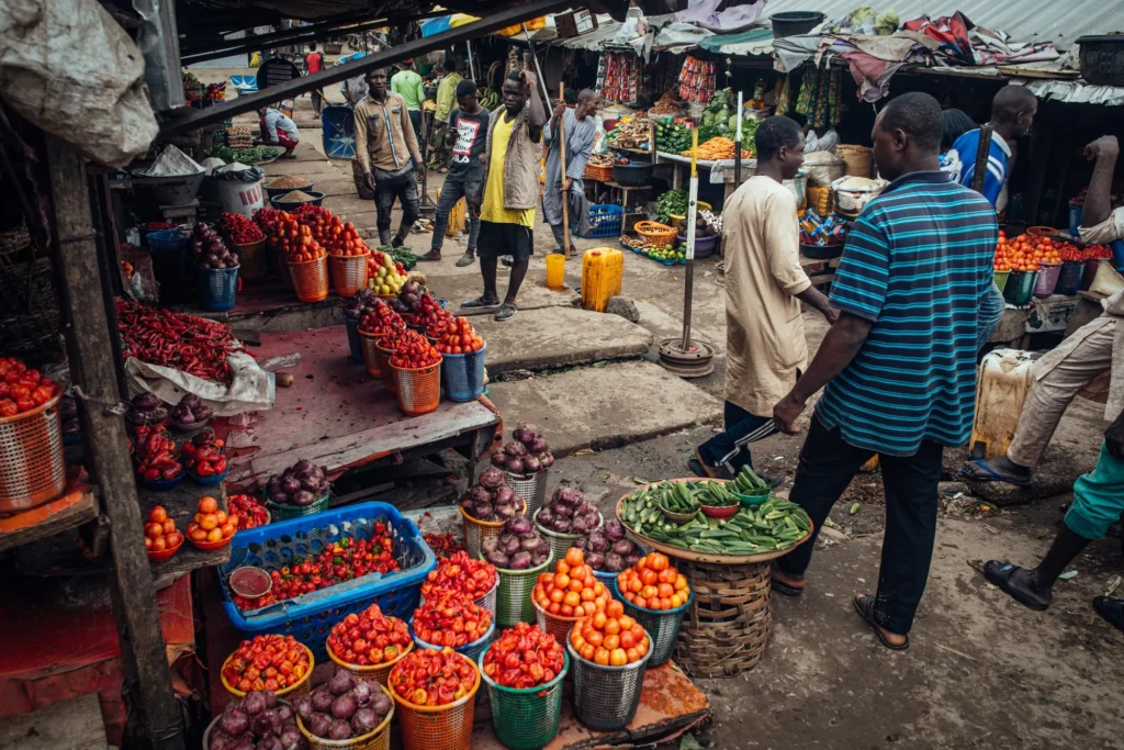 Edun Calls for Flexible Agricultural Policy to Combat Food Insecurity in Nigeria