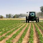 Edun Calls for Flexible Agricultural Policy to Combat Food Insecurity in Nigeria