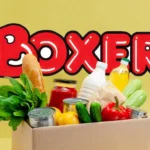 Boxer Projects Modest Sales Growth, Fierce Retail Competition