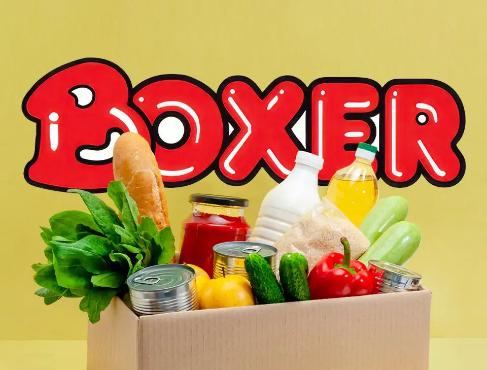 Boxer Projects Modest Sales Growth, Fierce Retail Competition