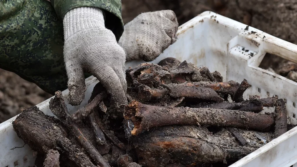 Skeletons and Bullets Unearthed at Cemetery Linked to WWII Massacre in Senegal