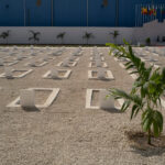 Skeletons and Bullets Unearthed at Cemetery Linked to WWII Massacre in Senegal